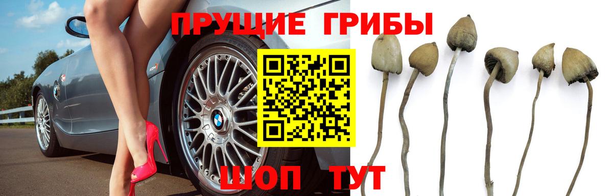 Троицк  Галлюциногенные грибы MAGIC MUSHROOMS  Вход с VPN 